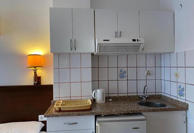 ガーデンビューのスタンダードワンルーム, Naturella Apart