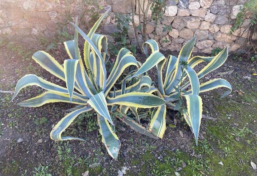 オーシャンビュースタンダードルーム, Naturella Apart