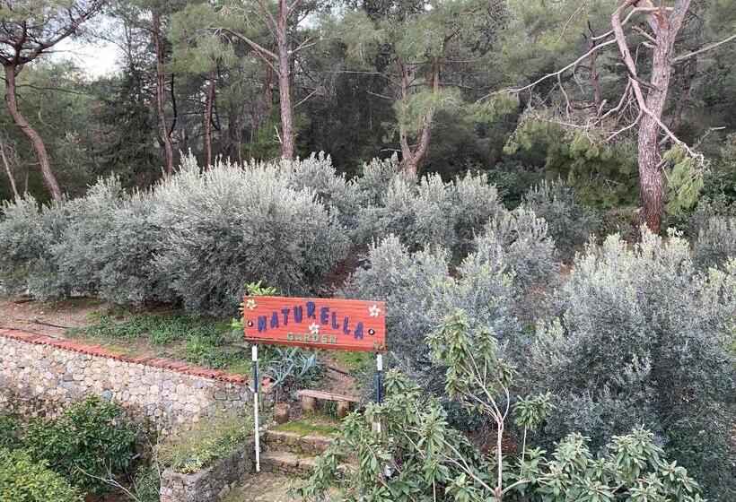 バルコニー付スイート, Naturella Apart