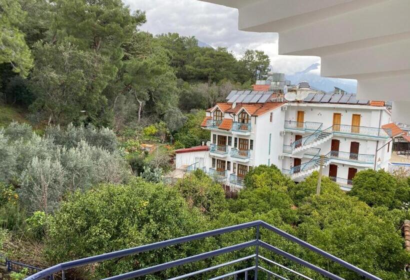 スタンダードルーム, Naturella Apart