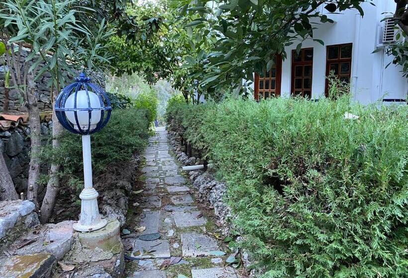 スタンダードルーム, Naturella Apart