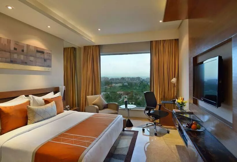Bisneshuone, Radisson Blu Kaushambi Delhi Ncr