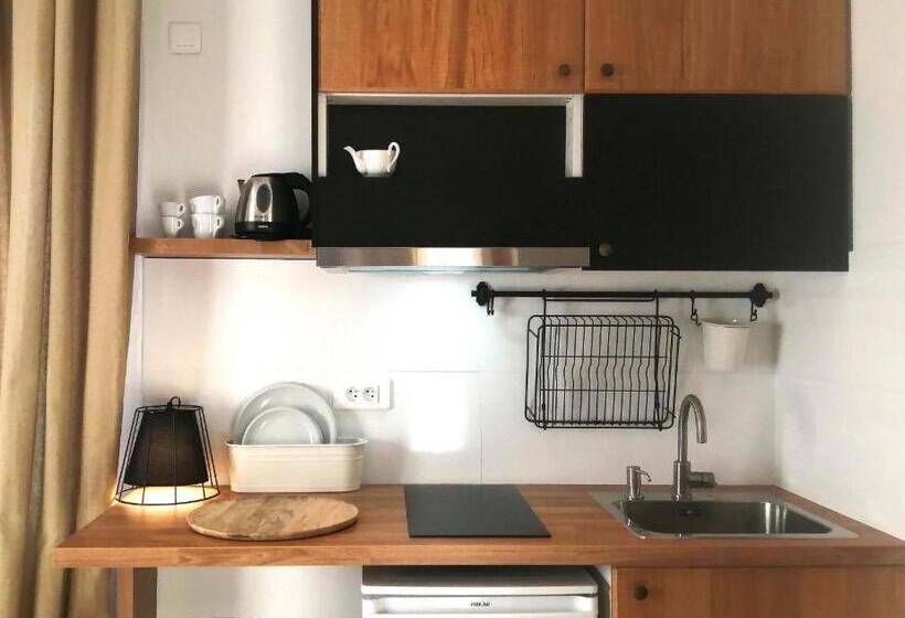 标准工作室, Villa Voltaire