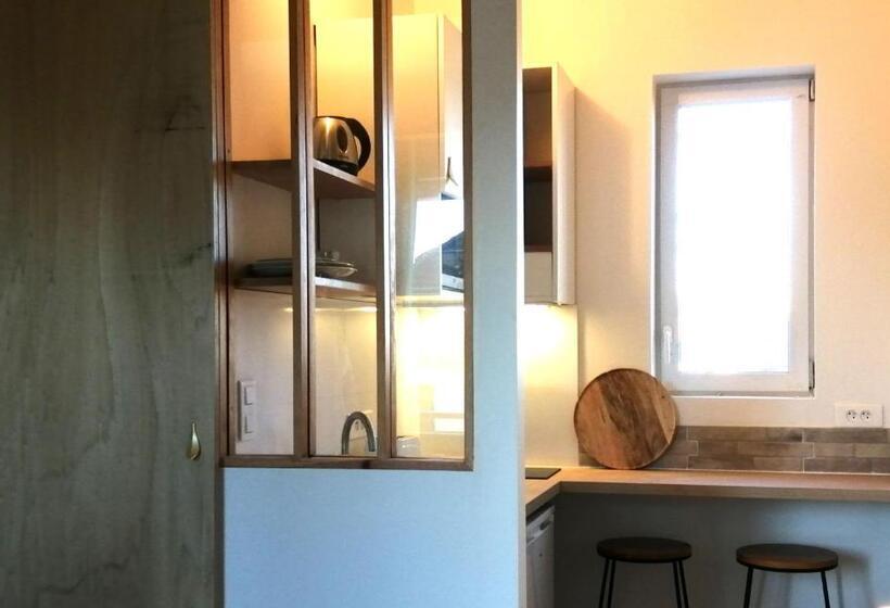 豪华工作室, Villa Voltaire