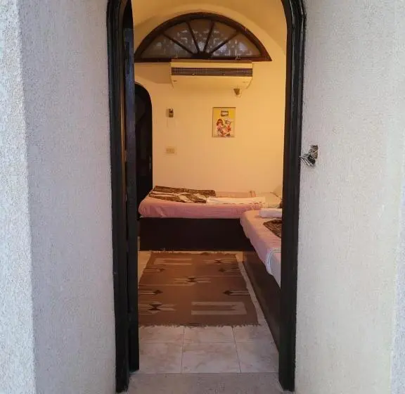 اتاق اکونومی یک تخته, Lagona Dahab