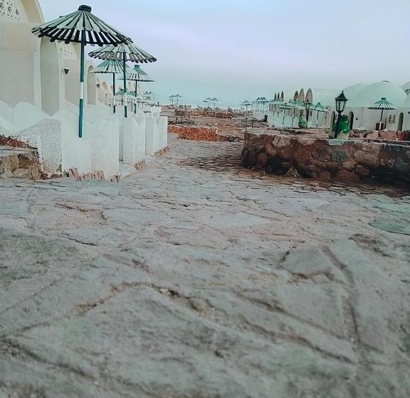 اتاق اکونومی یک تخته, Lagona Dahab