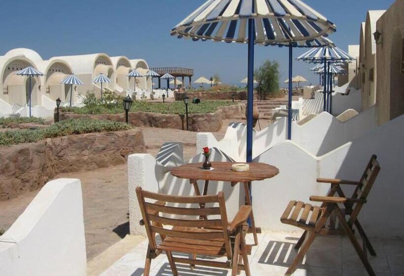 اتاق اکونومی, Lagona Dahab