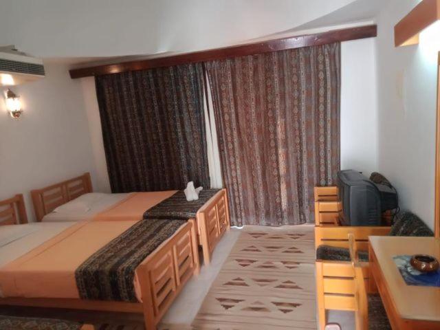 اتاق سوپریور با چشمانداز دریا, Lagona Dahab