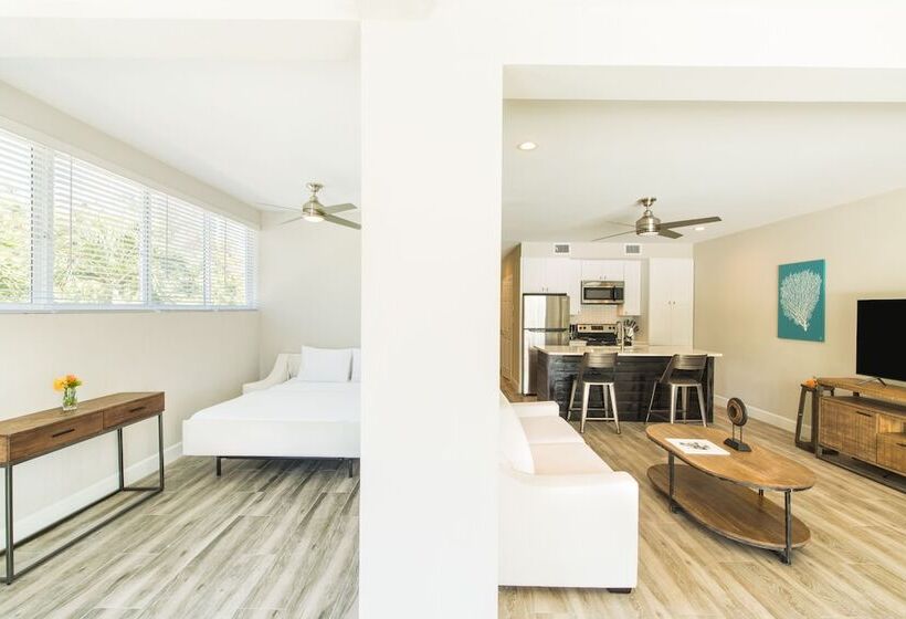 Havuz Manzaralı Süit, The Tides, Grace Bay