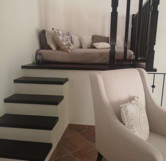 标准工作室, Open Space Rose