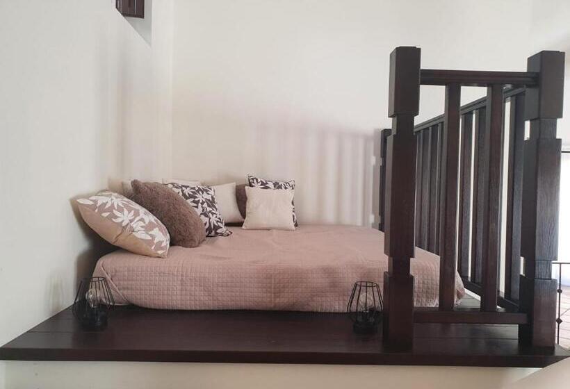 标准工作室, Open Space Rose