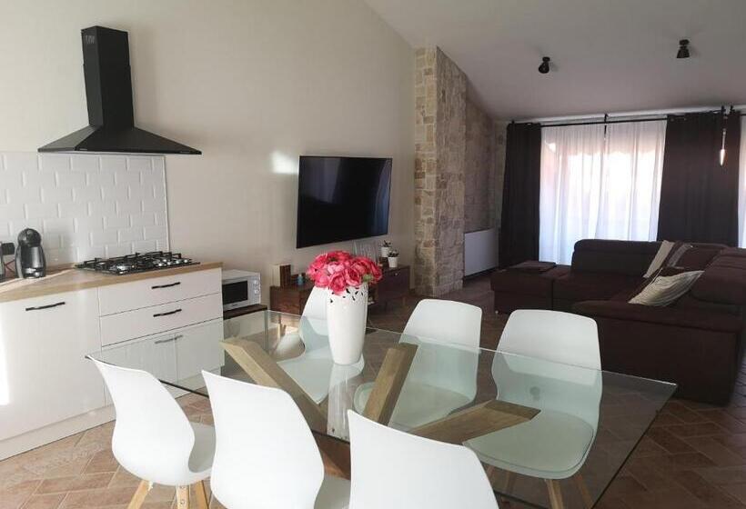 标准工作室, Open Space Rose