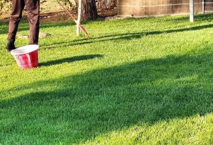 Apartament 1 Dormitori, B&b Villa Vittorio