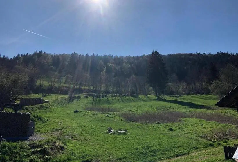 スタンダードルーム, Das Schwarzwald