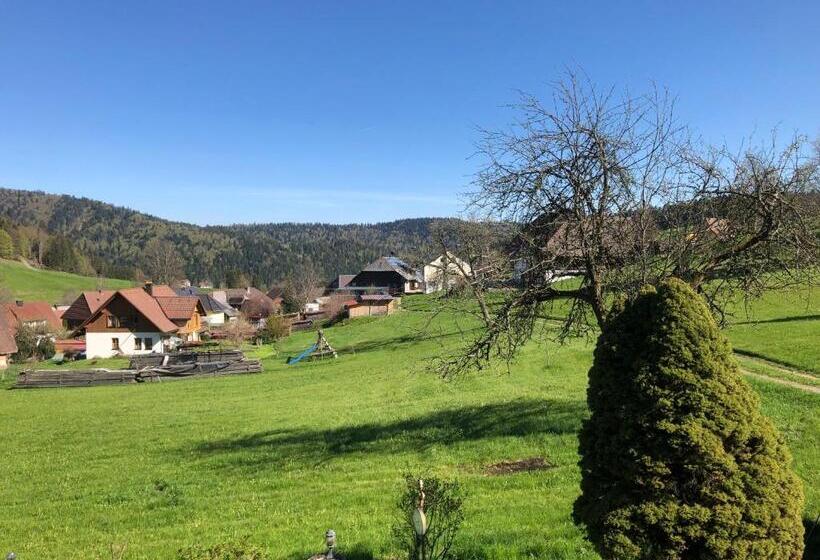 标准间, Das Schwarzwald