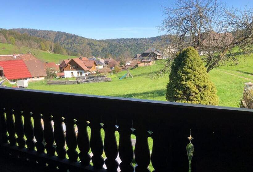 Номер Стандарт, Das Schwarzwald