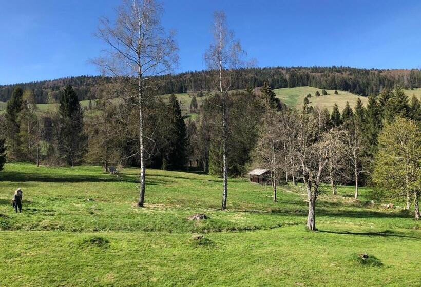 小型套房带阳台, Das Schwarzwald