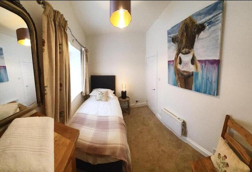 Quarto Triplo Estandar, Black Bull