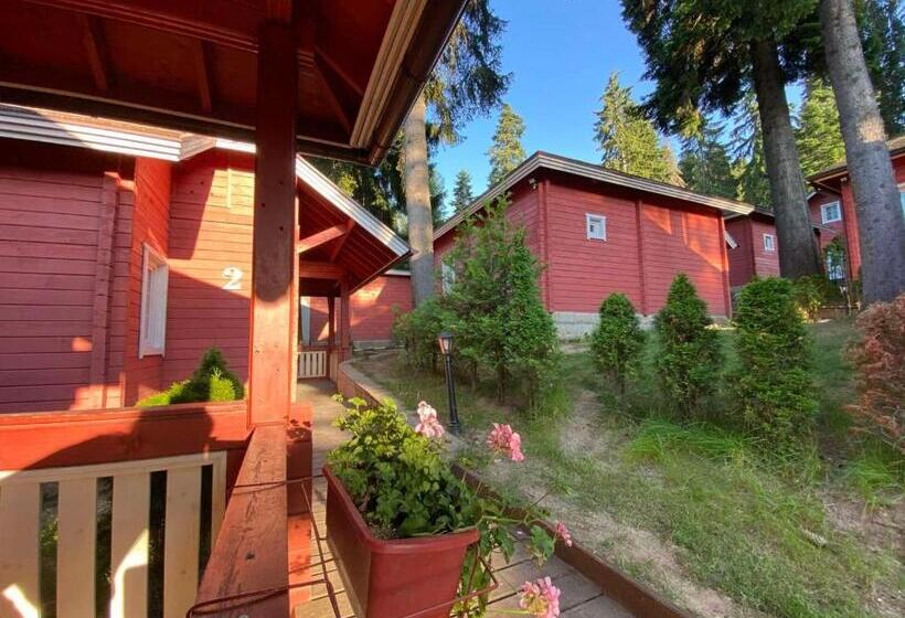 בקתת סופריור בת חדר 1, Alpin Borovets, алпин боровец