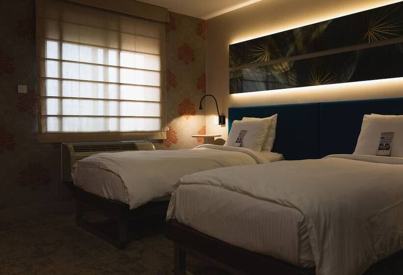 חדר סטנדרט, Le Jolie