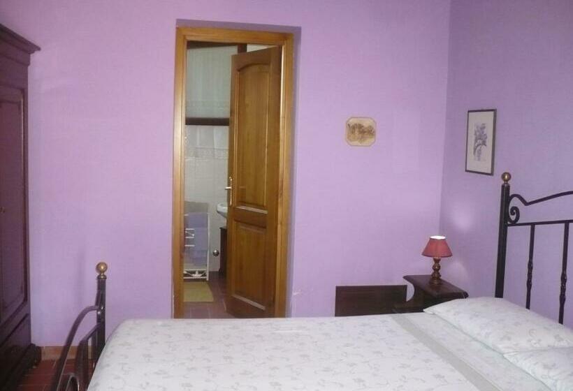 スタンダードルーム, Il Baffetto B&b