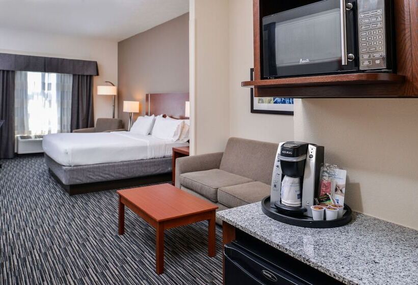 סוויטה מותאמת לאדם עם מוגבלויות, Holiday Inn Express Hotel & Suites York, An Ihg