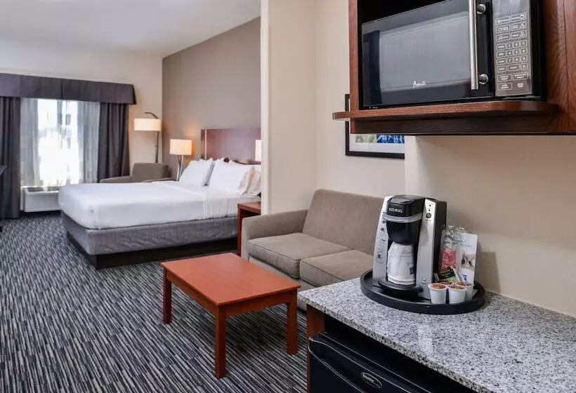 身障者適用スイートルーム, Holiday Inn Express Hotel & Suites York, An Ihg