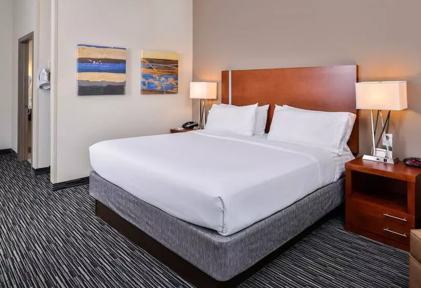 身障者適用スイートルーム, Holiday Inn Express Hotel & Suites York, An Ihg