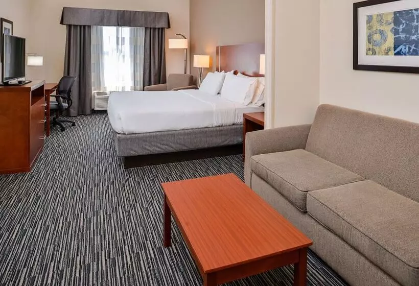身障者適用スイートルーム, Holiday Inn Express Hotel & Suites York, An Ihg