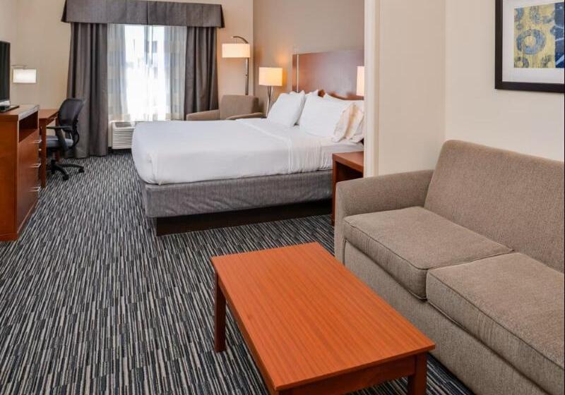 סוויטה מותאמת לאדם עם מוגבלויות, Holiday Inn Express Hotel & Suites York, An Ihg