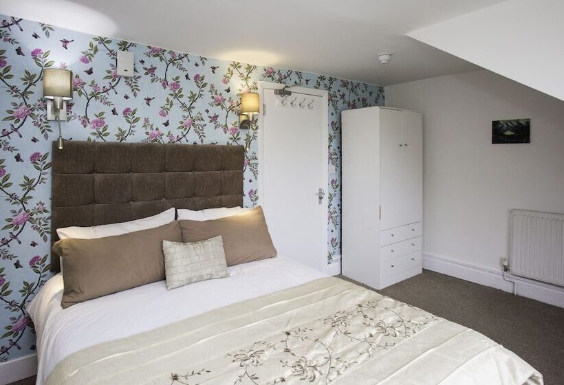 Номер Superior, Primrose Guesthouse