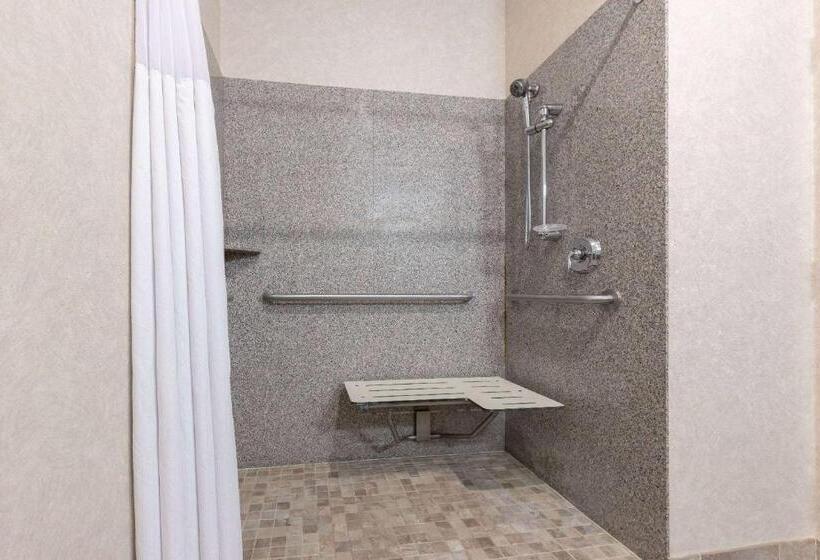 جناح لذوى الاحتياجات الخاصة, Baymont By Wyndham Pratt