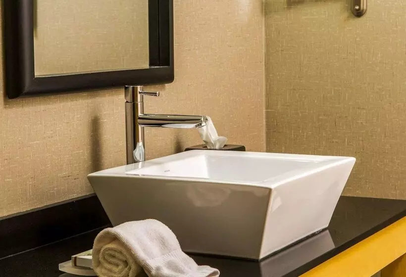 سوئیت برای معلولان, Cambria Hotel Traverse City