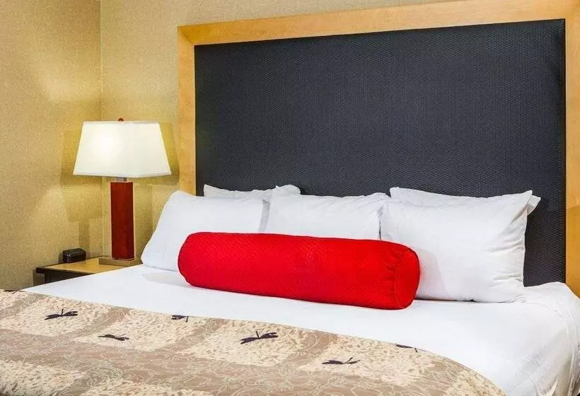 سوییت, Cambria Hotel Traverse City