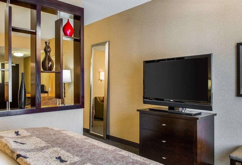 适合残疾人士使用的套间, Cambria Hotel Traverse City