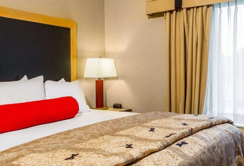 适合残疾人士使用的套间, Cambria Hotel Traverse City