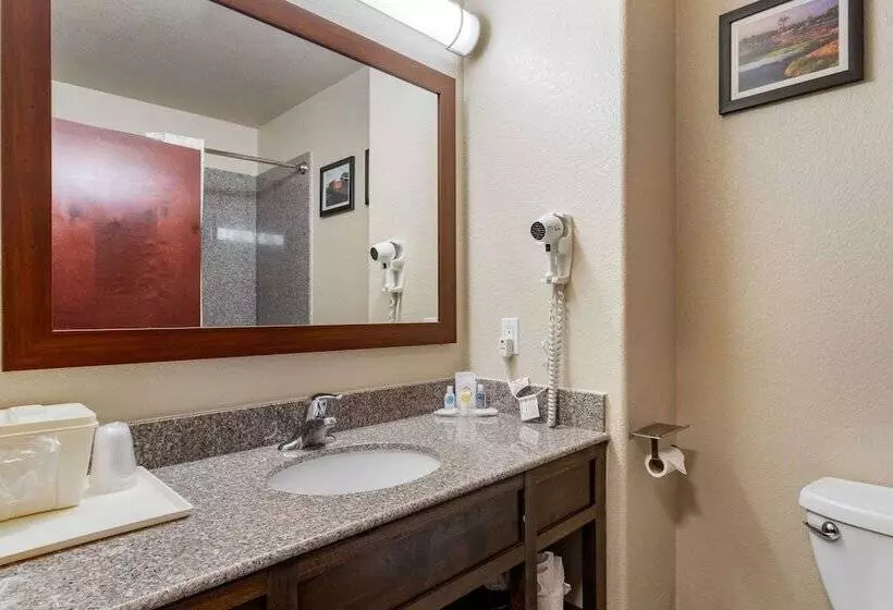 Sviitti, Comfort Inn & Suites Navasota