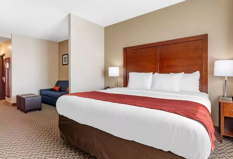 Sviitti, Comfort Inn & Suites Navasota