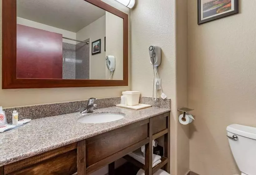 Sviitti, Comfort Inn & Suites Navasota