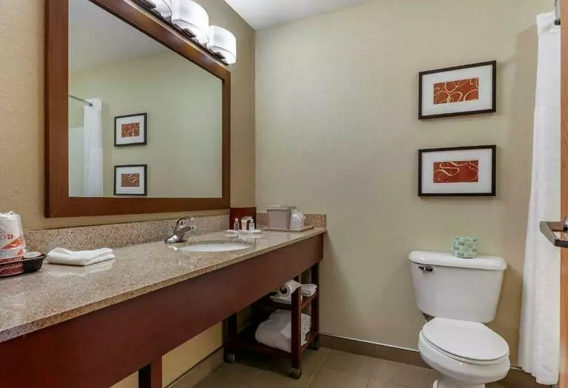 スタンダードルーム, Comfort Suites Delavan  Lake Geneva Area