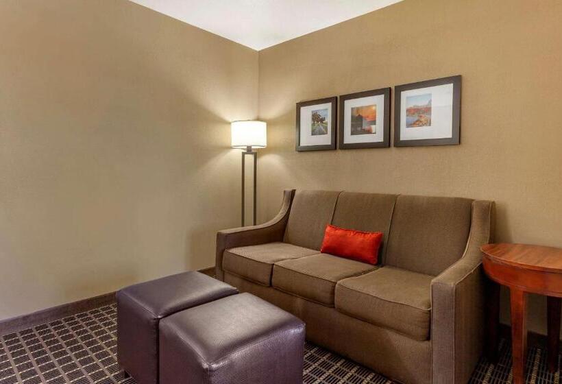 جناح سرير كينج, Comfort Suites Delavan  Lake Geneva Area