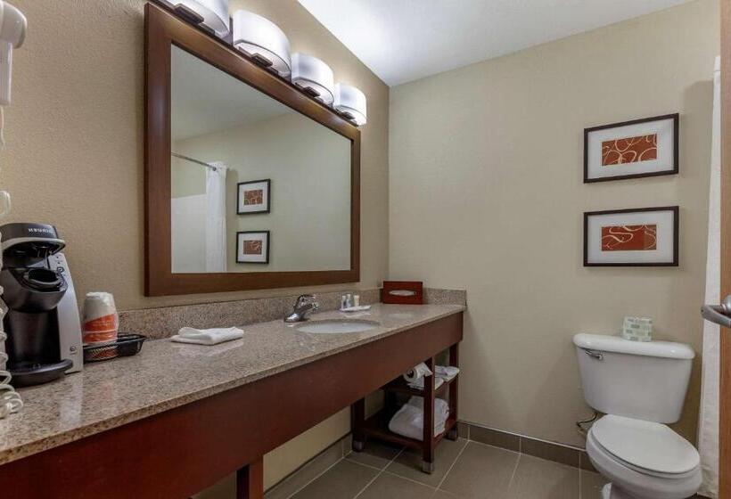 Люкс Кровать Кинг, Comfort Suites Delavan  Lake Geneva Area