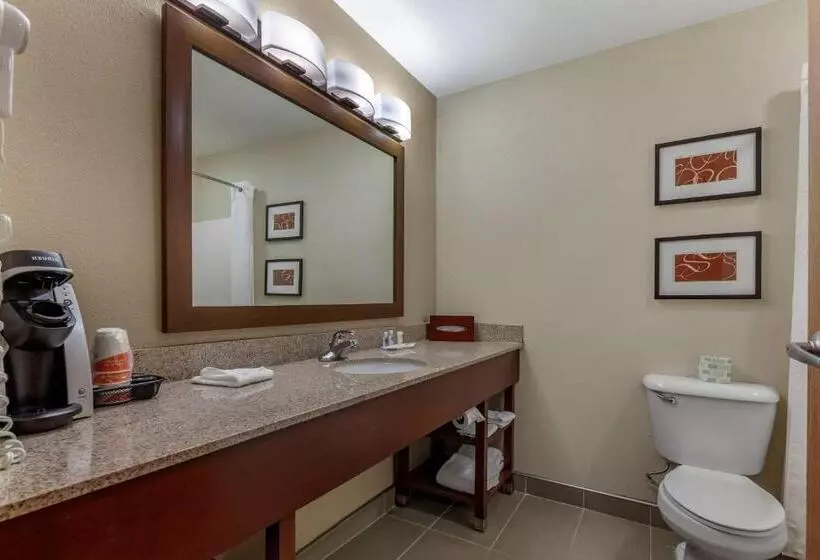 キングサイズベッドのスイートルーム, Comfort Suites Delavan  Lake Geneva Area