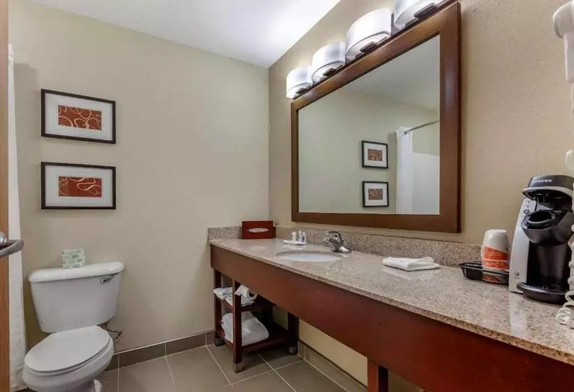 キングサイズベッドのスイートルーム, Comfort Suites Delavan  Lake Geneva Area