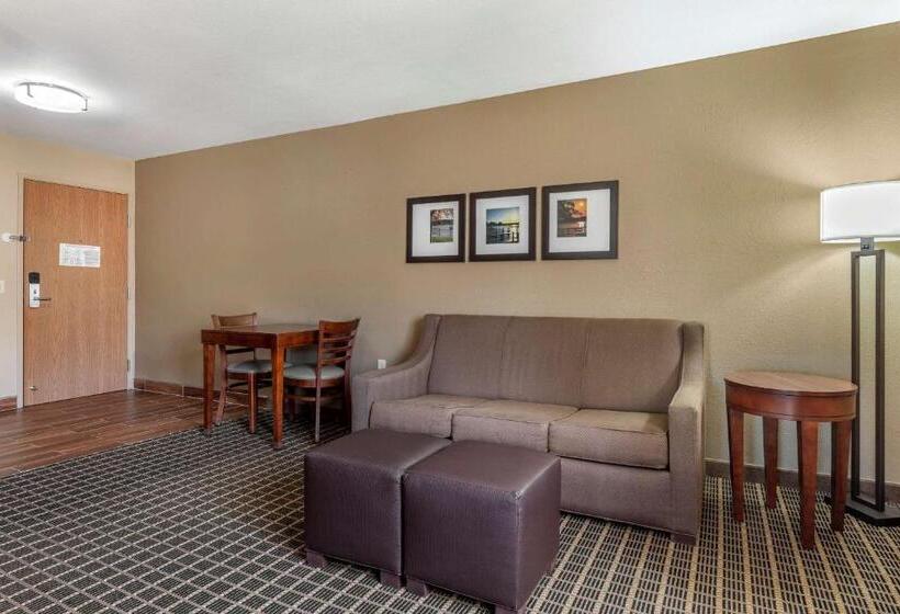 جناح سرير كينج, Comfort Suites Delavan  Lake Geneva Area