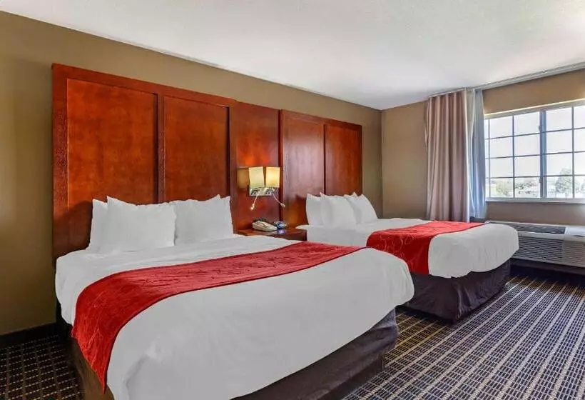 スイート, Comfort Suites Delavan  Lake Geneva Area