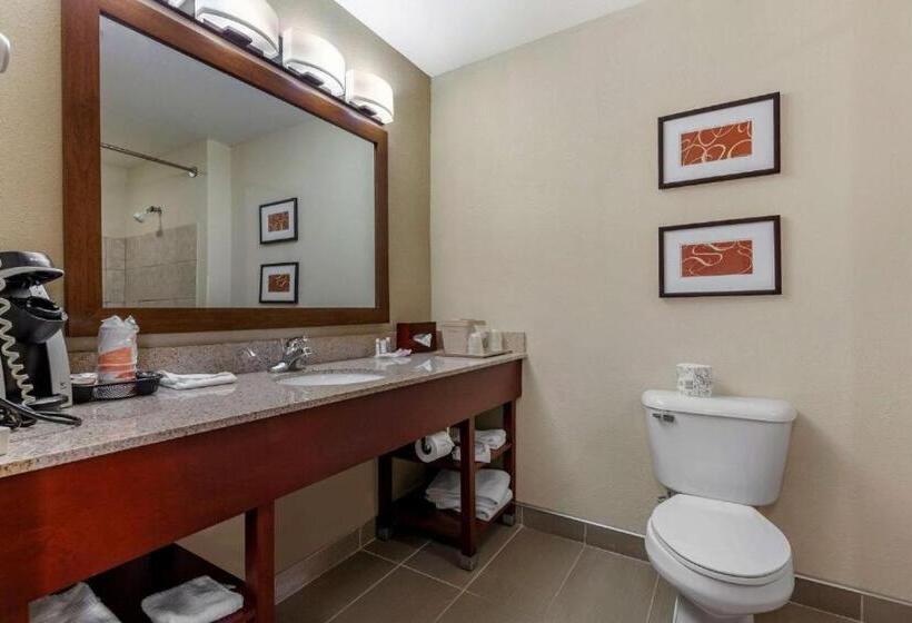 Люкс Адаптированный для Инвалидов, Comfort Suites Delavan  Lake Geneva Area