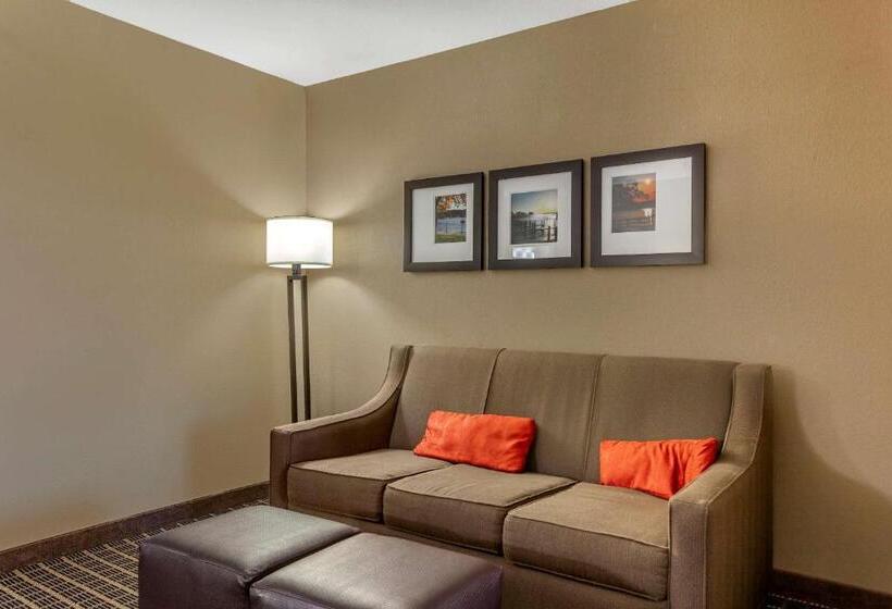 جناح لذوى الاحتياجات الخاصة, Comfort Suites Delavan  Lake Geneva Area