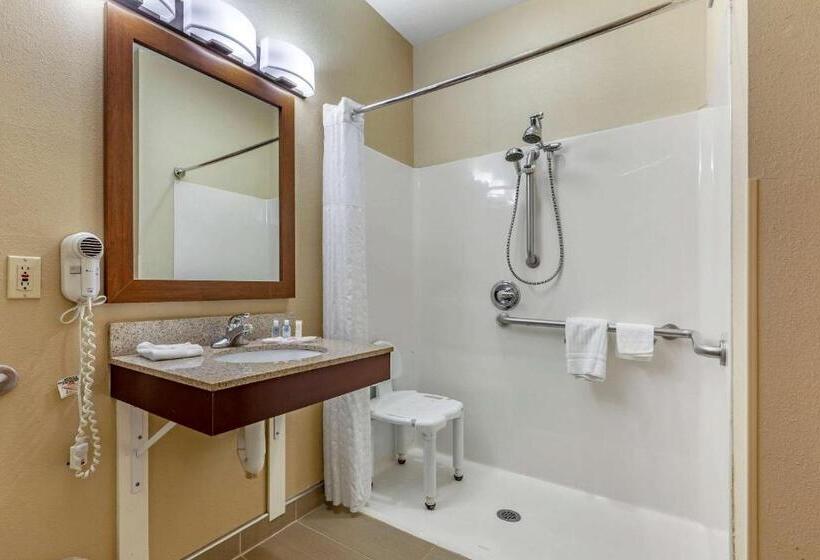Люкс Адаптированный для Инвалидов, Comfort Suites Delavan  Lake Geneva Area