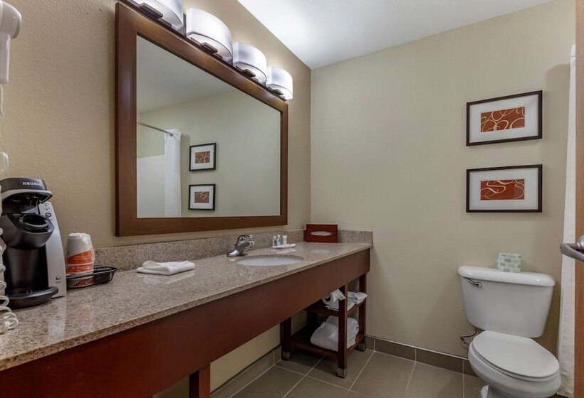 جناح, Comfort Suites Delavan  Lake Geneva Area